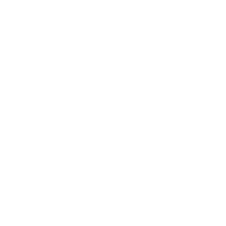 Supply Chain Academy